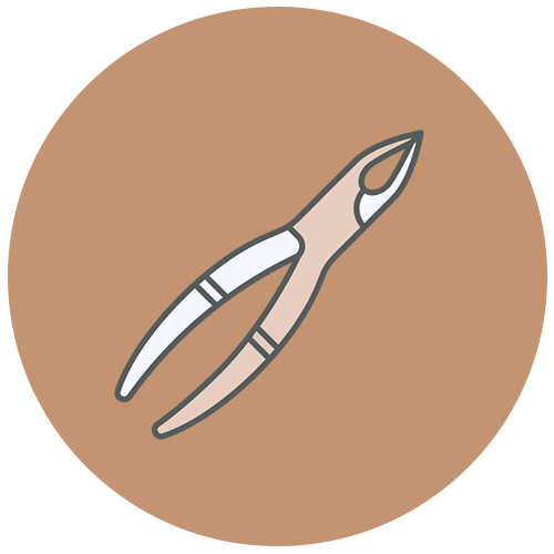 Dental extraction tool icon, shown as forceps used for removing teeth – Acton Dentist | Acton Family Dental